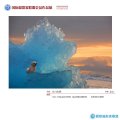 冰川海獅